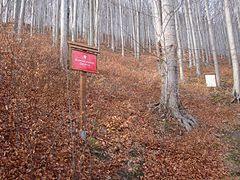 Rezerwat przyrody Zasolnica